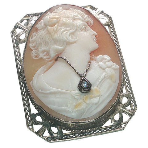 Cameo Collection